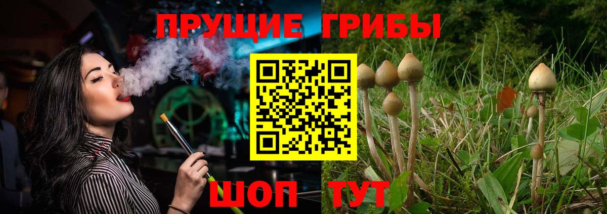Железногорск  Галлюциногенные грибы Psilocybe  Вход с VPN 