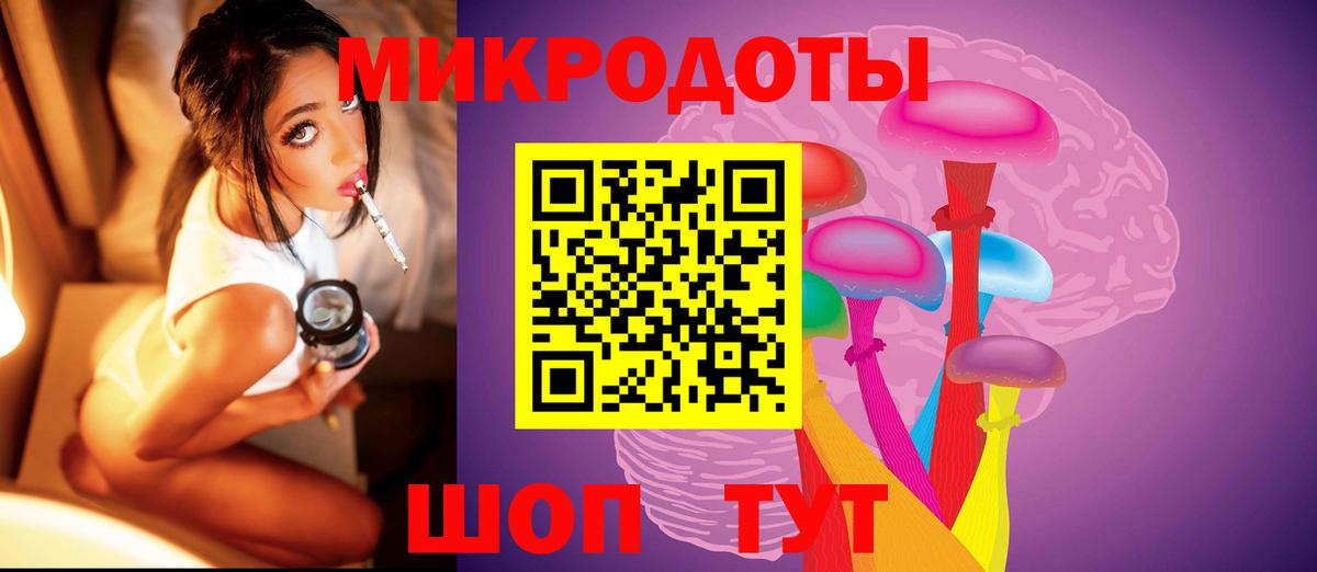 Псилоцибиновые грибы Psilocybe Железногорск